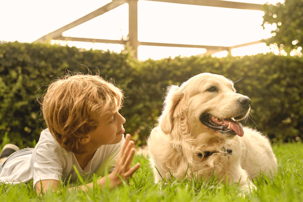 Artificial Grass for Dogs: The Perfect Solution for Pet Owners