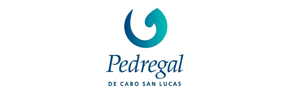 pedregal_logo_hurricane.png